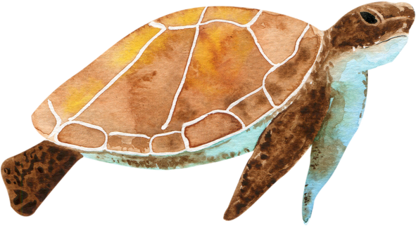 Watercolor Sea Turtle